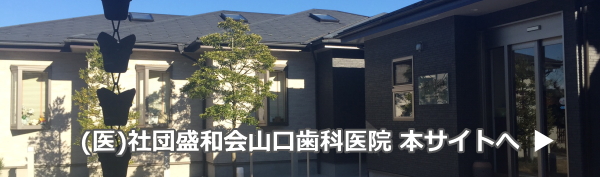 (医)社団盛和会山口歯科医院 (医)社団盛和会山口歯科医院